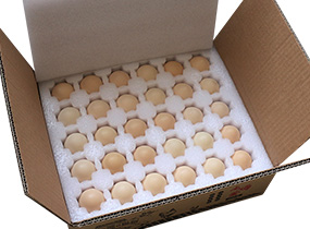 �u���а��b��A�