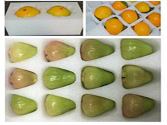 �����ރ��r�đ��È�������Щ��